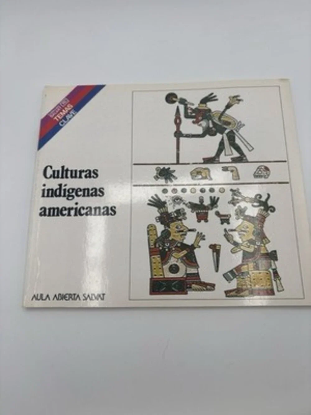 Aula Abierta Salvat Temas Clave Spanish Nonfiction Set Illustrated Valverde Lot